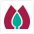 logo 1 (1)